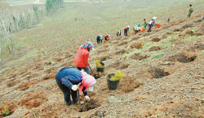 1625617884444139.png 圖片2.png